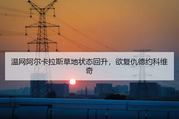 温网阿尔卡拉斯草地状态回升，欲复仇德约科维奇