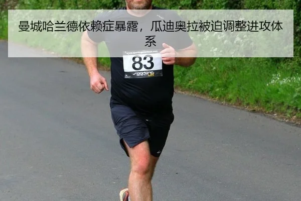 man-cheng-ha-lan-de-yi-lai-zheng-bao-lu-gua-di-ao-la-bei-po-tiao-zheng-jin-gong-ti-xi-3-174.jpg