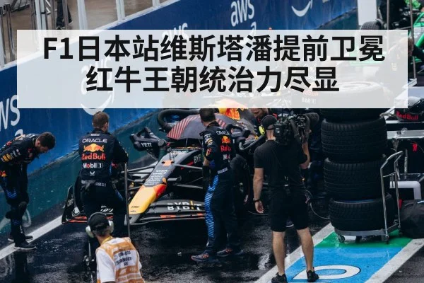 Red Bull Racing pit stop